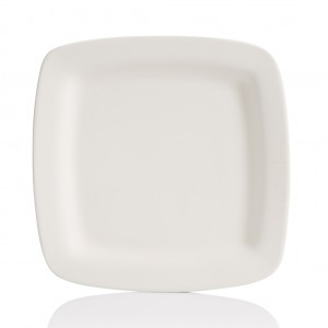 GAR 1017 Square Rim Dinner Plate